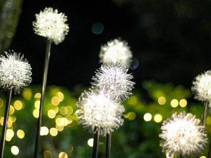 8 Hour Angelic Sleep Meditation