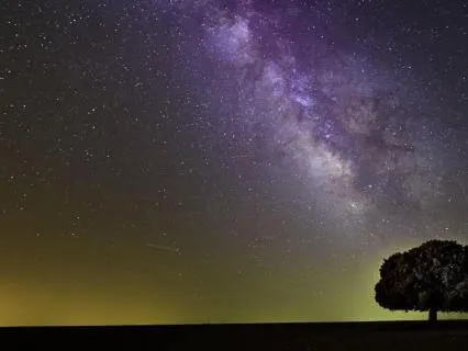 8 Hour Cozy All-Night Sleep Journey