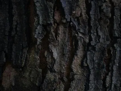 8 Hour Dark Umber Brown Noise For Very Deep Sleep