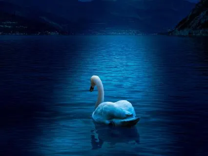 8-Hour Deep Sleep And Dreaming Induction