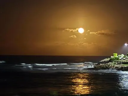 8 Hour Deep Sleep with Singing Bowls