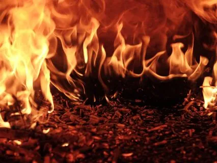 8-Hour Fireplace: Relaxing Nature Sounds For Sleep