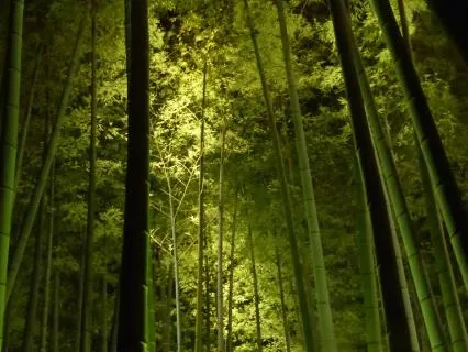 8 Hour Healing Sleep Temple Ocean Version With Closing