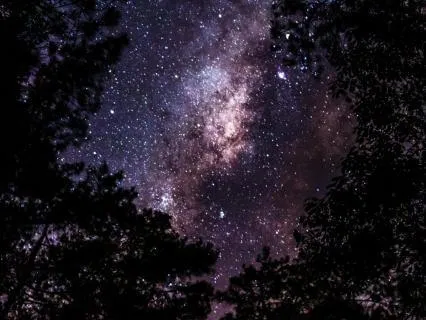 8 Hour Insomnia Relief - Night Ambience