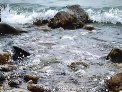 8 Hour Jamaican Shore Stream for Sleep – Stereo