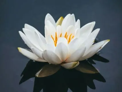 8 Hour Reiki Sleep Healing Meditation