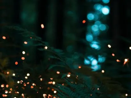 8-Hour Sleep Companion: The Forest Of Fireflies