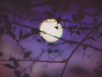 8 Hour Meditation For Deep, Restorative Sleep