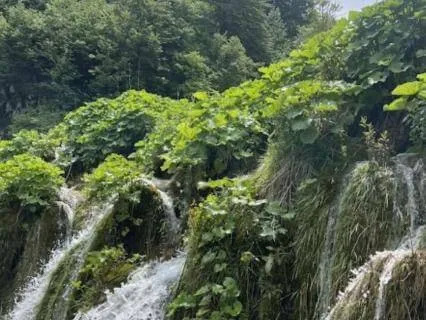 8-Hour Sleep Meditation For Strength, Health & Renewal