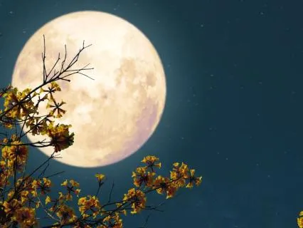 8-Hour Sleep Meditation With Gratitude And Stillness