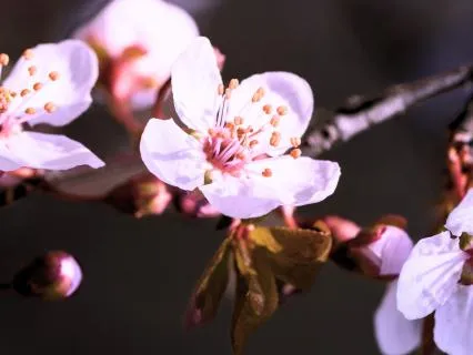 8 Hour Sleep Rest Heal With Nature