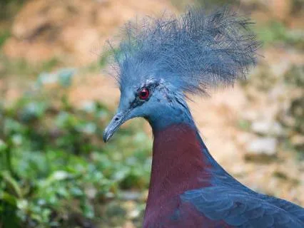 8-Hour Sleep Story: Phoenix And The Carpet & Other Stories