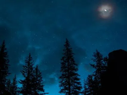 8 Hour - Sleeping Beyond Thought