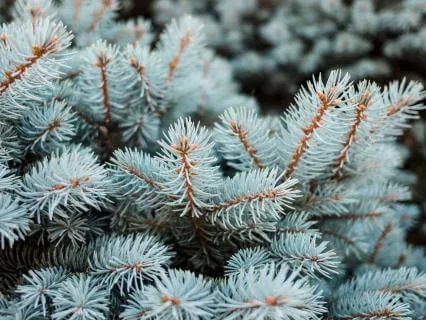 8 Hour Soundscape for Sleep (.12Hz Delta Binaural Beats)