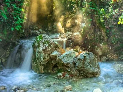 8 Hours Beside The Woodland Brook - Enchanted Naturescape