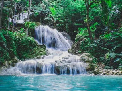 8 Hours Forest Nature Sound Therapy For Sleep