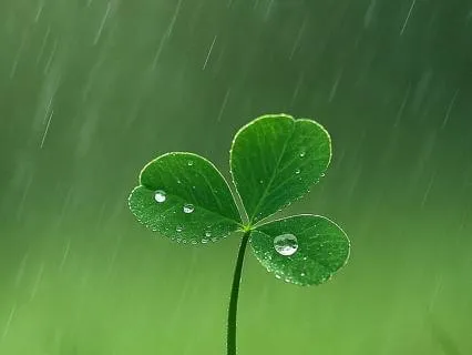 8 Hours All Night Long Voice: Affirmations For Deep Healing