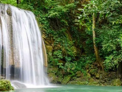 8 Hours In The Tropical Rainforest | Waterfall & Birdsong