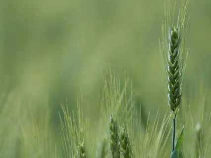 8 Hours of Blissful Sleep