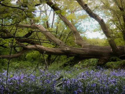 8 Hours Of Deep Sleep Healing