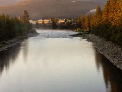 8 Hours Of River Sound For Deep Sleep And Morning Calm