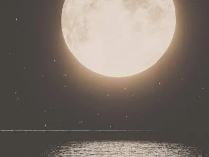 8 Hours Organic Ocean Sounds For Deep Sleep | All Night