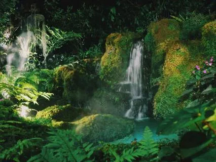 8 Hours Sleep Jungle Soundtrack