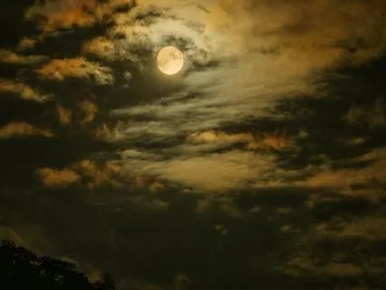 8+ Hours Sleep - Theta Ultimata