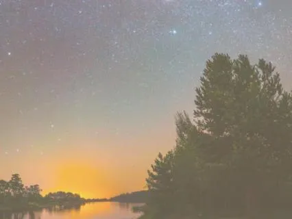 8 Hours Summer Night Sounds For Deep Sleep | All Night