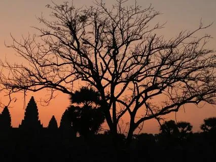 8-hours. The Little House At Night