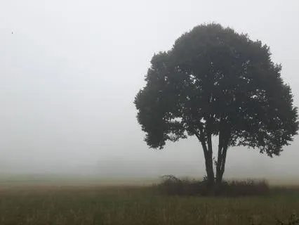 8+hr Guided Sleep Meditation For A Deep & Restful Night