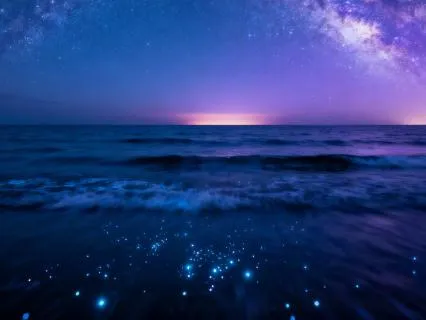 8 Hr Deep Sleep & Healing | 528 Hz + 432 Hz Meditation Music