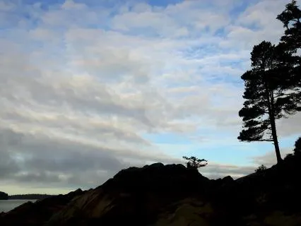 8+Hr Guided Practice To Release Tension And Pain In The Body