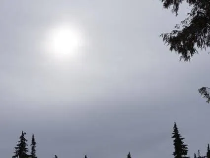 8+hr Guided Yoga Nidra For Deep Repair