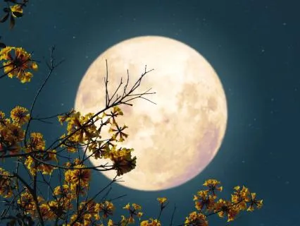 8+ Hrs Full Moon Music for Deep Sleep, Healing, Meditation