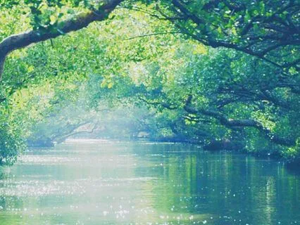 8 Hz To 1 Hz Binaural Beats : From Alpha To Delta State