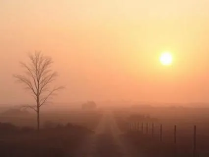 8 Min Guided Visualisation │From Overthinking To Clarity