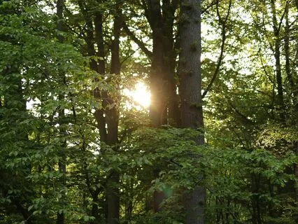 8 Min Morning Meditation To Start Your Day Happy