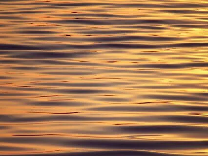 8-Minute Nervous System Reset - Centred & Calm