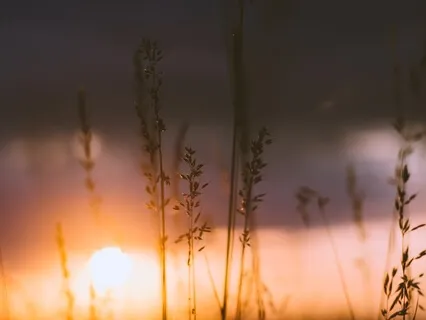 8 Min Smile Practice