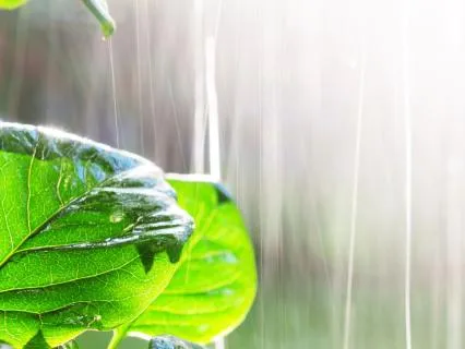 8 Min. Sound Bath For Energy | Handpan, Chimes, Frogs, Rain