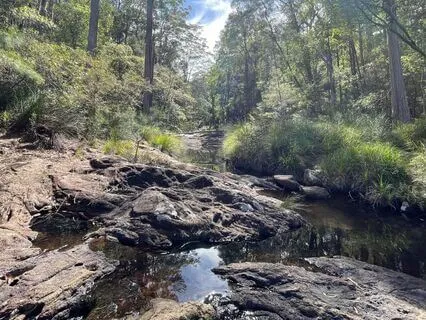8-min Welcoming Prayer For Mama Cacao At The Waterfall
