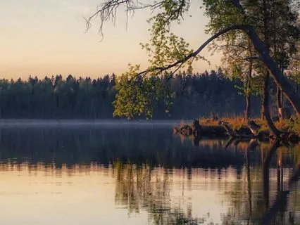 8-Minute 3-Part Breath