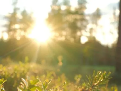 8 Minute Access Your Joy