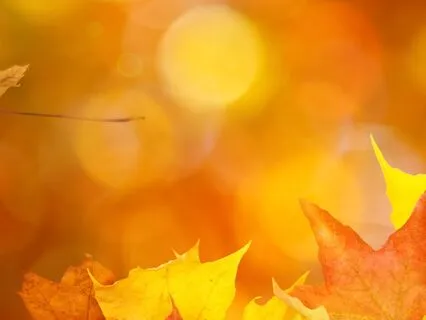 8 Minute Autumn Savasana For Deep Relaxation