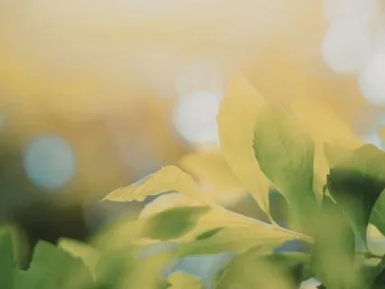 8-Minute Box Breathing For Stress Relief