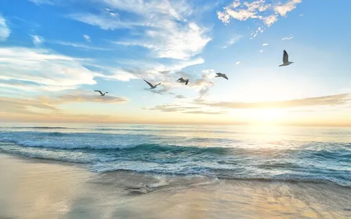 8-Minute Deep Peace Meditation