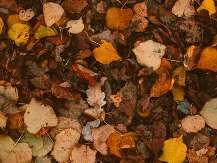 8-minute Grounding Meditation (No Music)