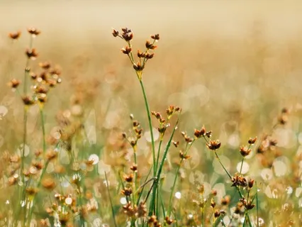 8-Minute Healing Journey Ambient Music