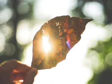 8-Minute Higher Self-Meditation